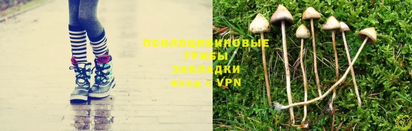 mdpv Балахна