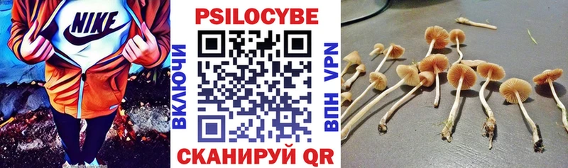 Галлюциногенные грибы мухоморы  Тосно 
